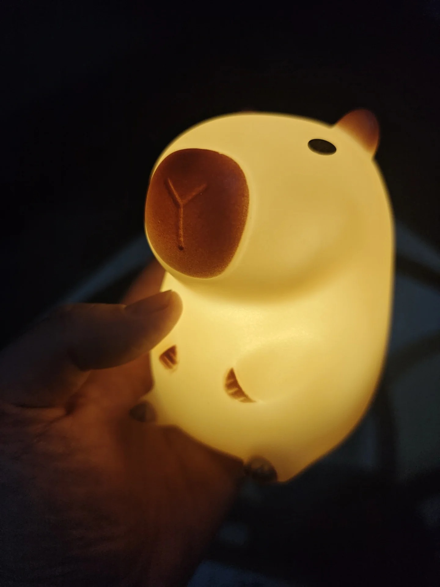 Linda Lámpara Nocturna de Capi - Decor Lighting Sales reseña y precio